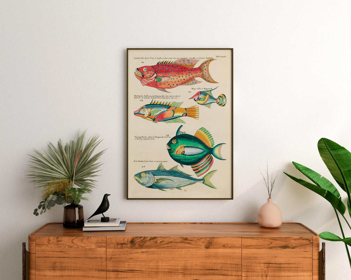 Sea Life Fine Art Print, Marine Life Poster, Vintage Fish Illustrations Print by Louis Renard, Antique Surreal Wall Art, Sea Lover Gift