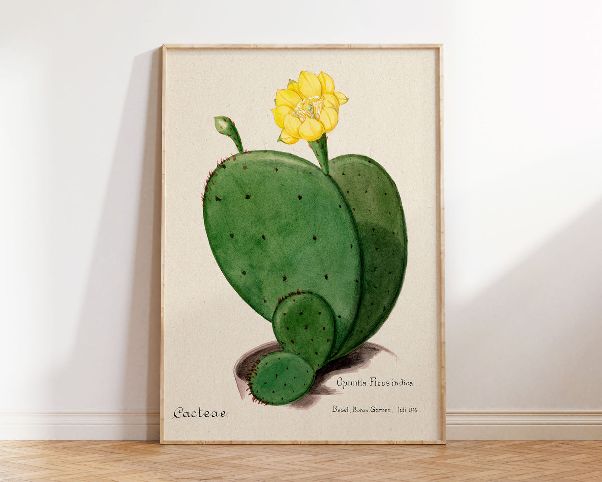 Cactus Poster, Indian Fig Opuntia Cactus Print, Botanical Vintage Art Print, Flower Lover Gift, Antique Art Print, Mother's Day Gift