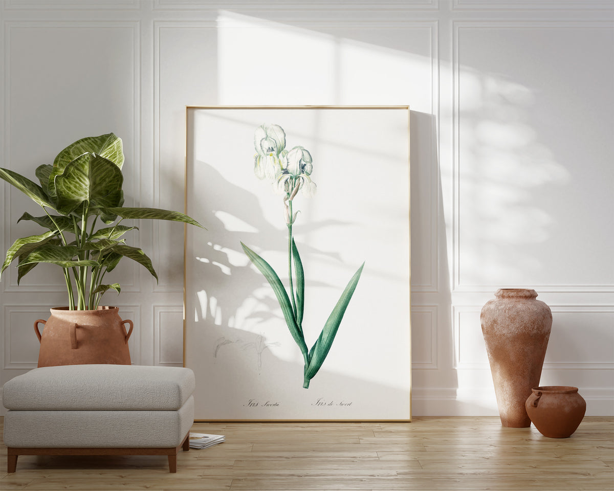 Vintage Iris Flower Print, Botanical Wall Art by Pierre-Joseph Redouté, Retro Minimal Botany Illustration, Plant Lover Gift, Green & White