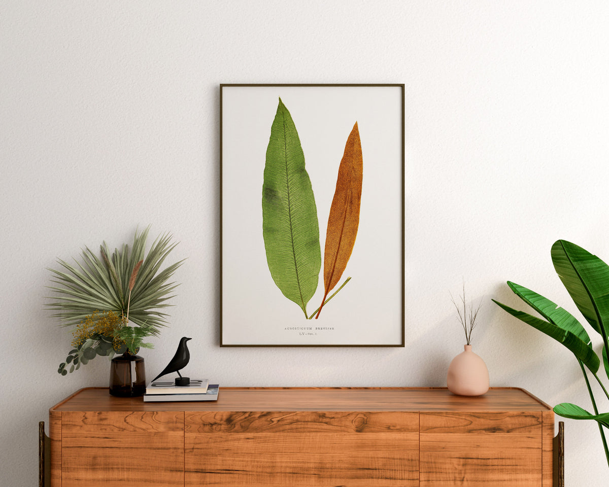 Botanical Minimalist Wall Art by Edward Joseph Lowe, Vintage Fern Drawing Reproduction, Antique British Exotic Plant Print, Tropical Leaves