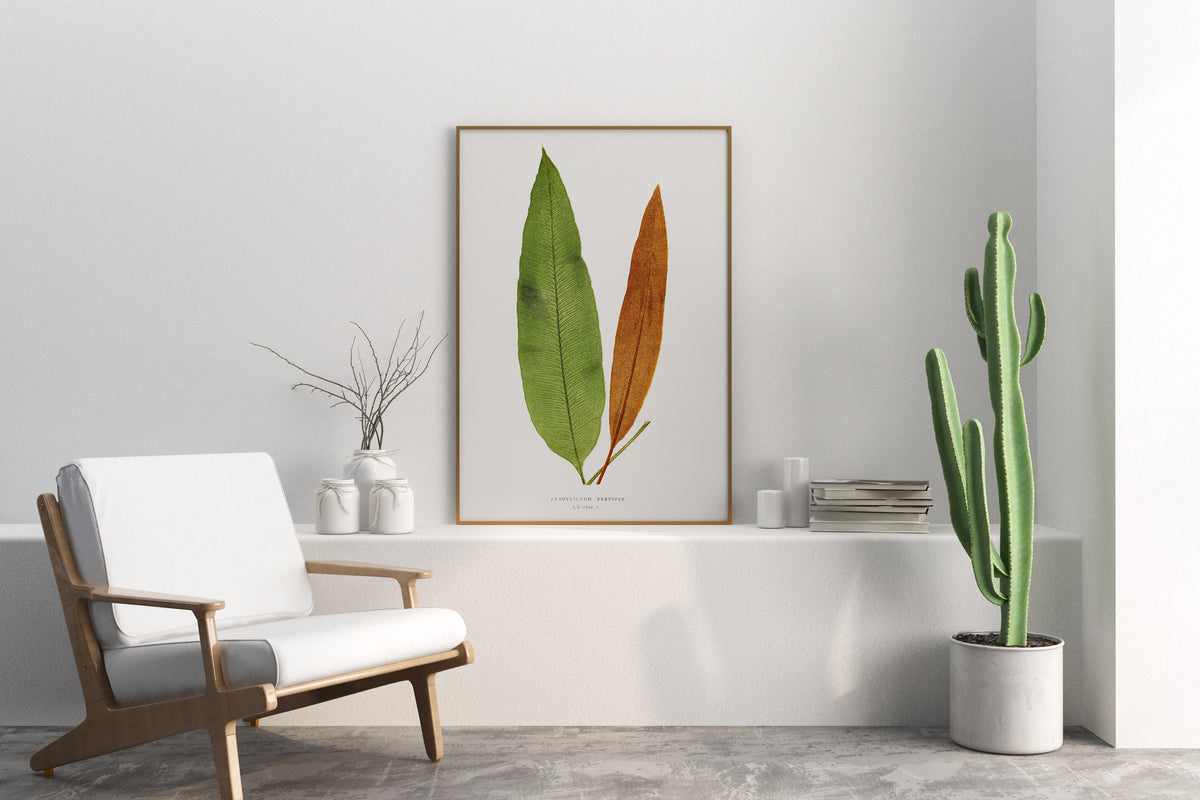 Botanical Minimalist Wall Art by Edward Joseph Lowe, Vintage Fern Drawing Reproduction, Antique British Exotic Plant Print, Tropical Leaves