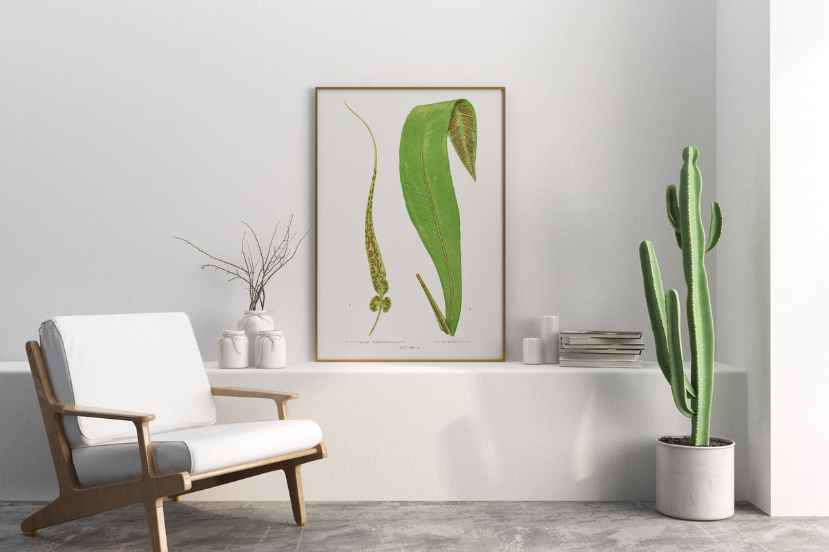 Vintage Minimalist Botanical Print, British Fern Plant Drawing by Edward Joseph Lowe, Antique Botany Art Reproduction, Tropical Wall Art