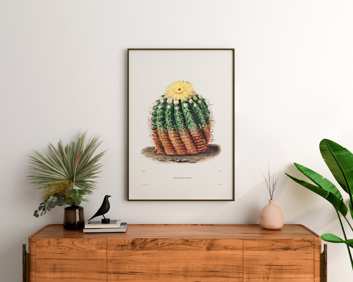 Cactus & Yellow Flower Print by Charles Antoine Lemaire, Vintage Succulent Art Poster, Botanical Farmhouse Decor, Desert Plant Wall Art
