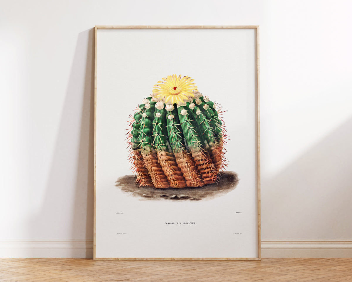Cactus & Yellow Flower Print by Charles Antoine Lemaire, Vintage Succulent Art Poster, Botanical Farmhouse Decor, Desert Plant Wall Art