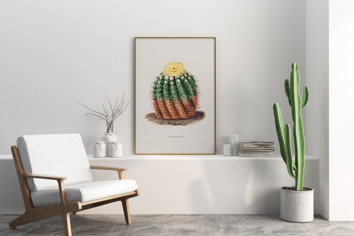 Cactus & Yellow Flower Print by Charles Antoine Lemaire, Vintage Succulent Art Poster, Botanical Farmhouse Decor, Desert Plant Wall Art