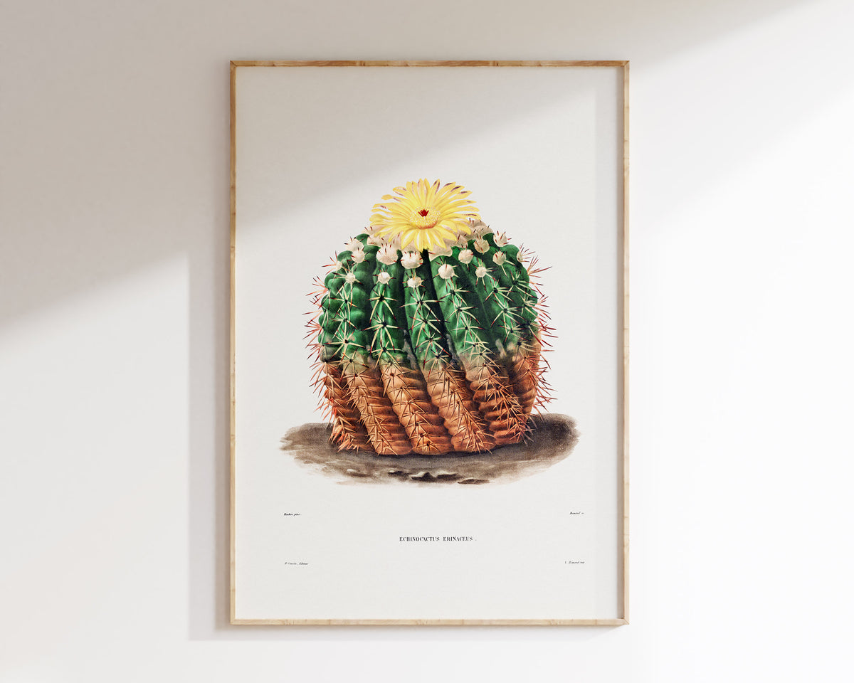Cactus & Yellow Flower Print by Charles Antoine Lemaire, Vintage Succulent Art Poster, Botanical Farmhouse Decor, Desert Plant Wall Art