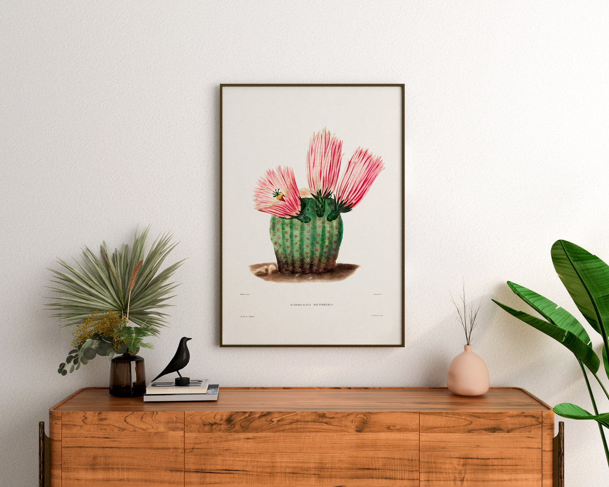 Cactus and Pink Flower Print by Charles Antoine Lemaire, Vintage Succulent Art Poster, Botanical Farmhouse Decor, Plant Lover Gift