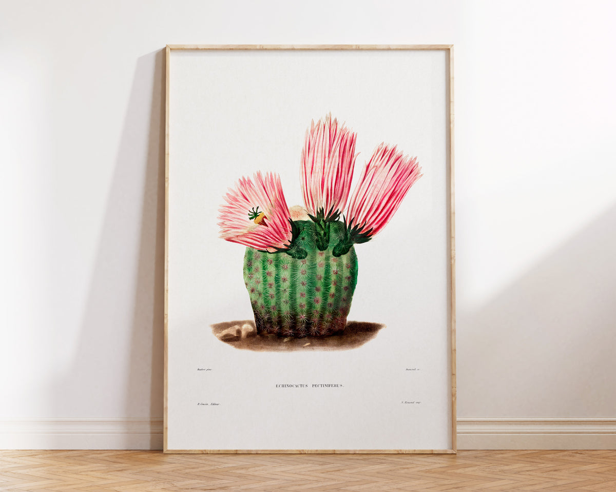 Cactus and Pink Flower Print by Charles Antoine Lemaire, Vintage Succulent Art Poster, Botanical Farmhouse Decor, Plant Lover Gift