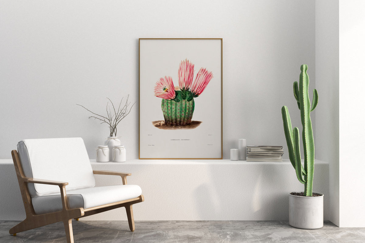Cactus and Pink Flower Print by Charles Antoine Lemaire, Vintage Succulent Art Poster, Botanical Farmhouse Decor, Plant Lover Gift