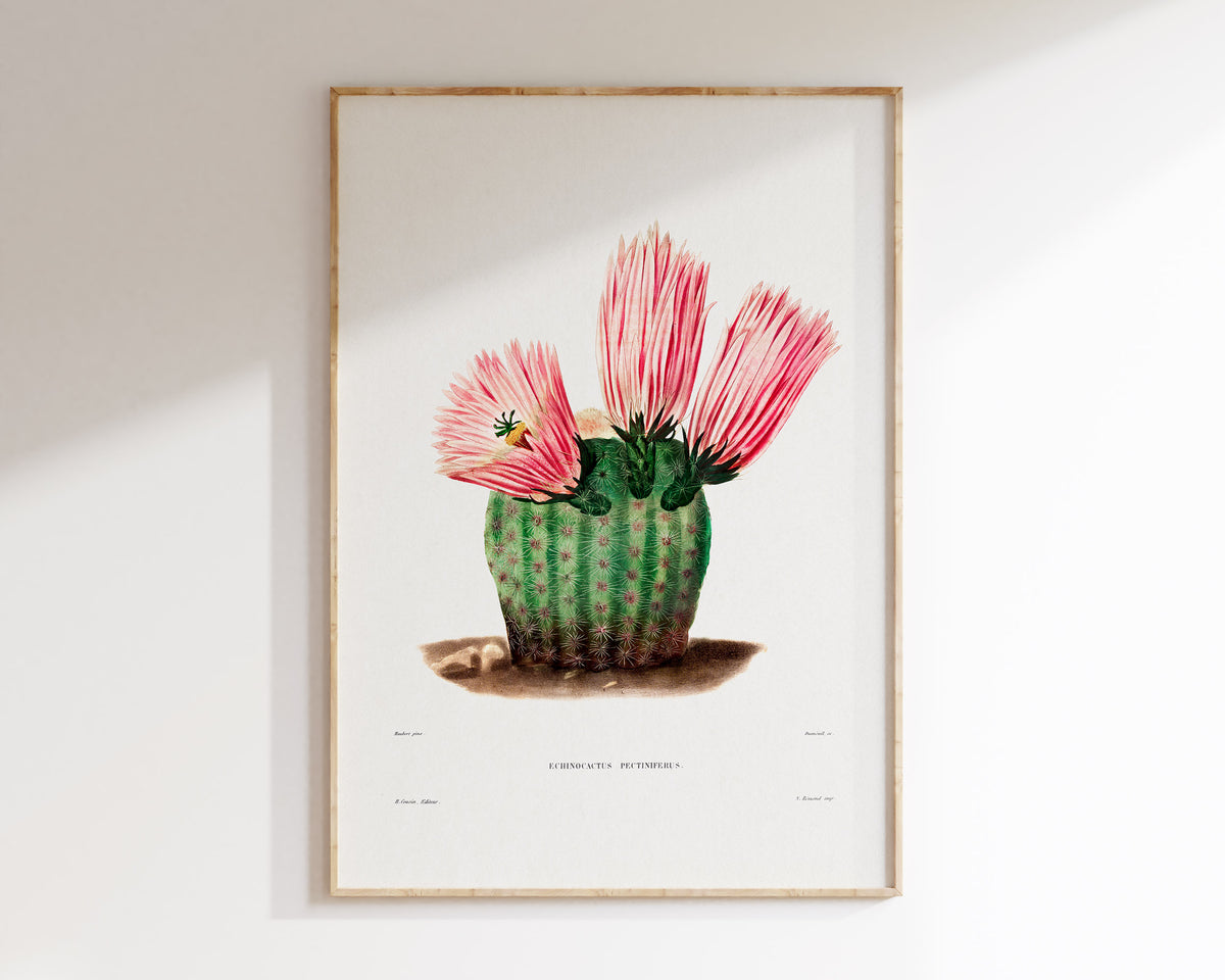Cactus and Pink Flower Print by Charles Antoine Lemaire, Vintage Succulent Art Poster, Botanical Farmhouse Decor, Plant Lover Gift