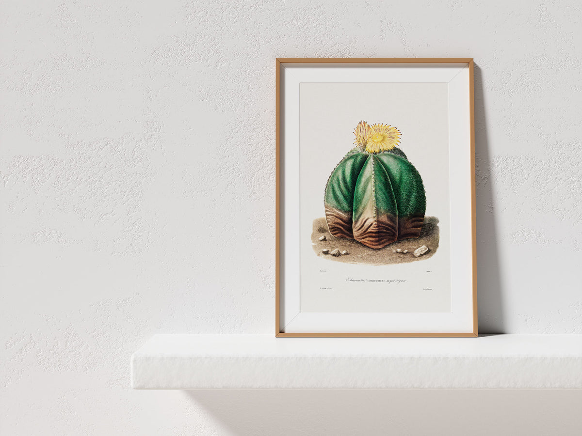 Cactus and Yellow Flower Print by Charles Antoine Lemaire, Vintage Succulent Art Poster, Botanical Farmhouse Decor, Plant Lover Gift