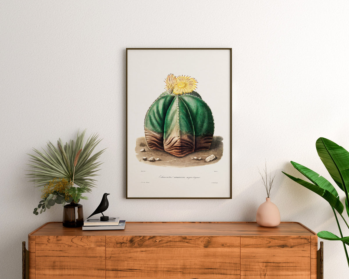 Cactus and Yellow Flower Print by Charles Antoine Lemaire, Vintage Succulent Art Poster, Botanical Farmhouse Decor, Plant Lover Gift