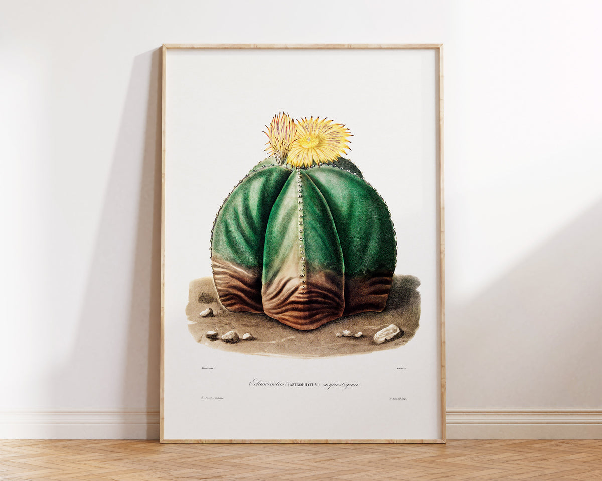 Cactus and Yellow Flower Print by Charles Antoine Lemaire, Vintage Succulent Art Poster, Botanical Farmhouse Decor, Plant Lover Gift