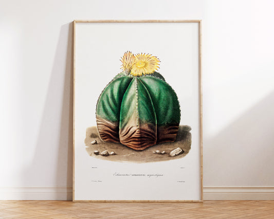 Cactus and Yellow Flower Print by Charles Antoine Lemaire, Vintage Succulent Art Poster, Botanical Farmhouse Decor, Plant Lover Gift