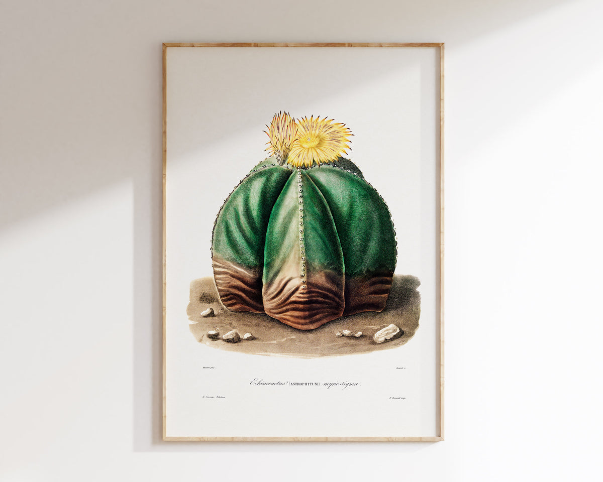 Cactus and Yellow Flower Print by Charles Antoine Lemaire, Vintage Succulent Art Poster, Botanical Farmhouse Decor, Plant Lover Gift