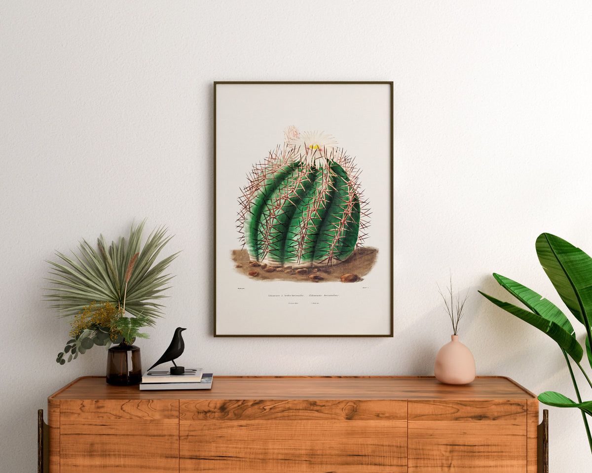 Cactus Fine Art Print by Charles Antoine Lemaire, Vintage Succulent Art Poster, Botanical Farmhouse Decor, Plant Lover Gift