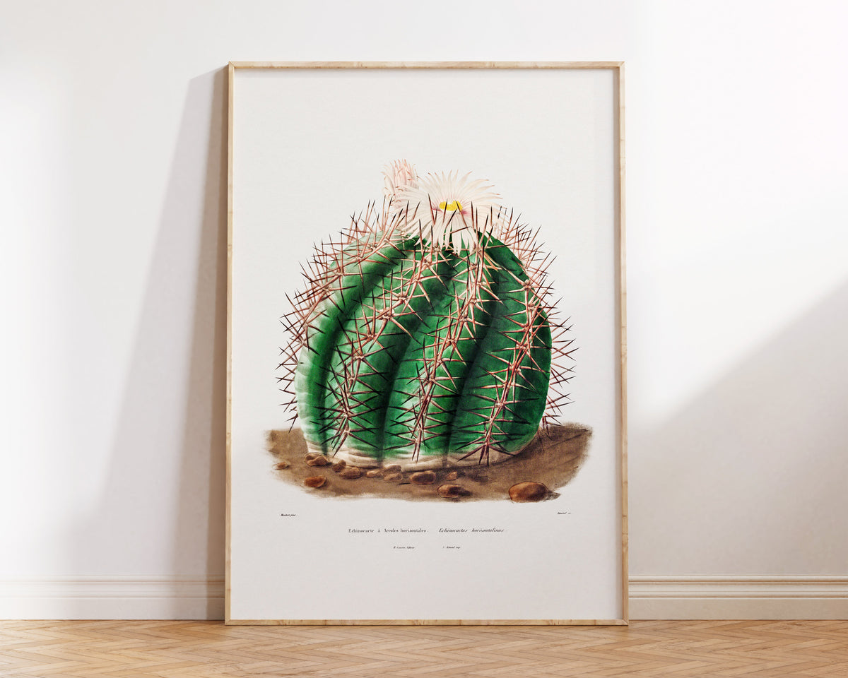 Cactus Fine Art Print by Charles Antoine Lemaire, Vintage Succulent Art Poster, Botanical Farmhouse Decor, Plant Lover Gift