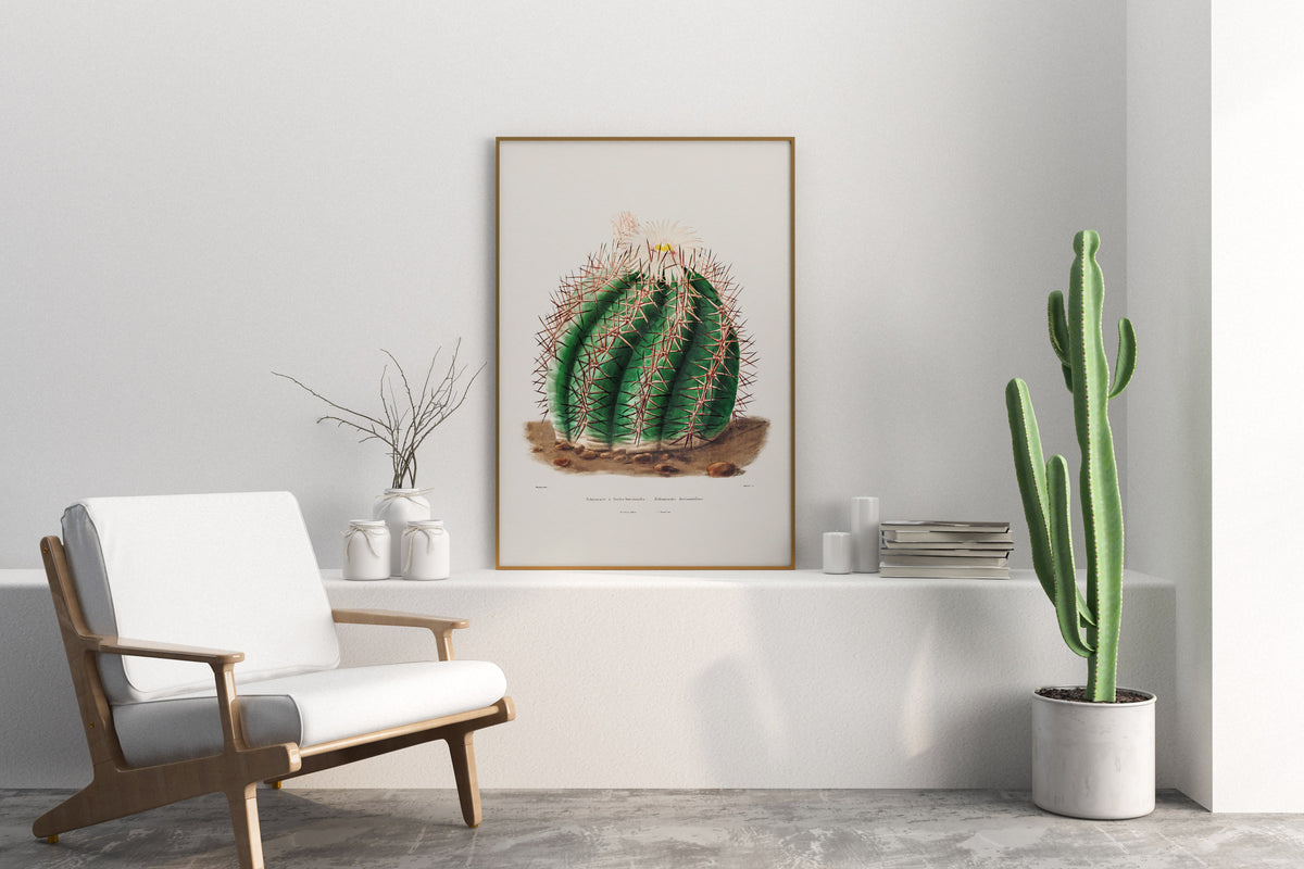 Cactus Fine Art Print by Charles Antoine Lemaire, Vintage Succulent Art Poster, Botanical Farmhouse Decor, Plant Lover Gift