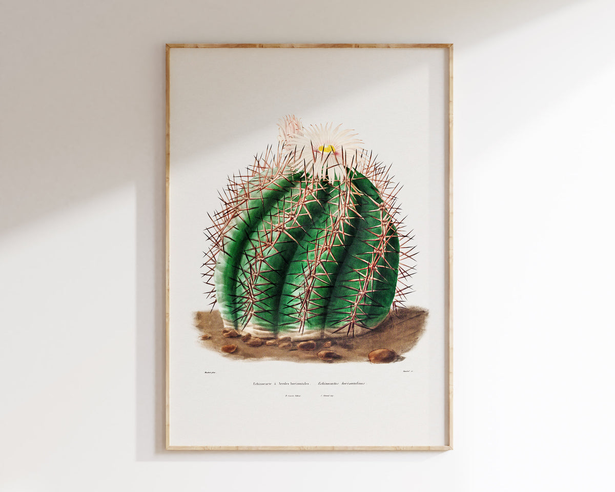 Cactus Fine Art Print by Charles Antoine Lemaire, Vintage Succulent Art Poster, Botanical Farmhouse Decor, Plant Lover Gift