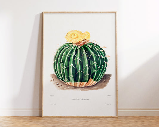 Cactus and Yellow Flower Print by Charles Antoine Lemaire, Vintage Succulent Art Poster, Botanical Farmhouse Decor, Plant Lover Gift