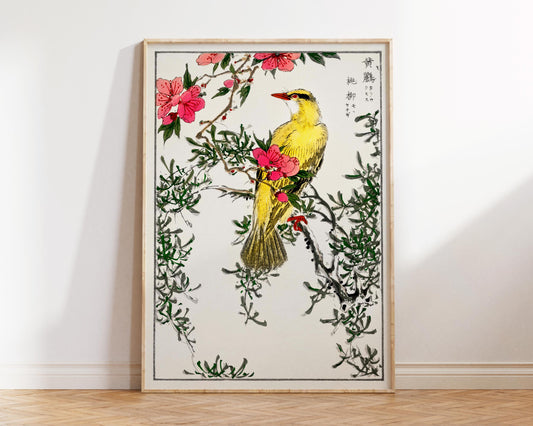 Vintage Japanese Bird & Flower Print by Numata Kashu, Antique Asian Woodblock Painting Reproduction, Yellow and Pink Minimalistic Wall Art