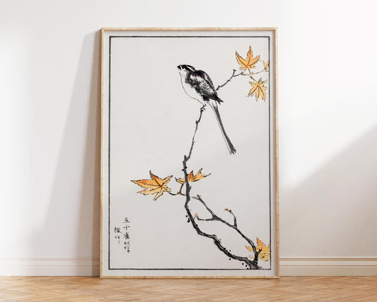 Vintage Japanese Bird Print by Numata Kashu, Antique Asian Woodblock Painting Reproduction, White and Orange Minimalistic Wall Art