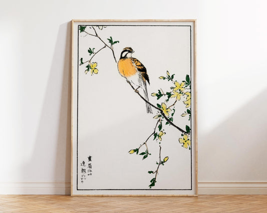 Vintage Japanese Bird Print by Numata Kashu, Antique Asian Woodblock Painting Reproduction, White and Yellow Minimalistic Wall Art
