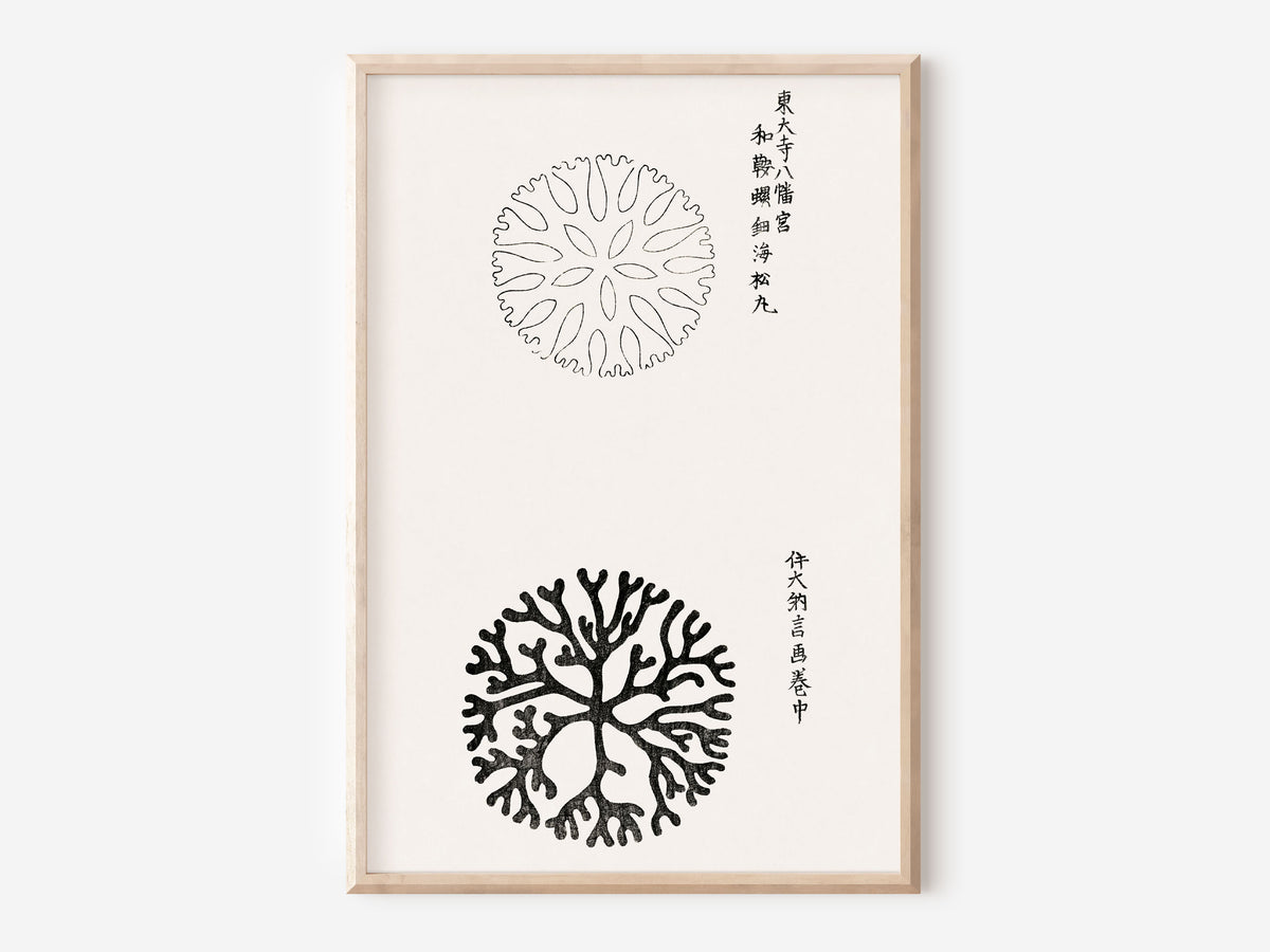 Japanese Woodblock Art Print, Vintage Wall Art by Taguchi Tomoki, Antique Minimalistic Art, Japandi Wall Hanging, Art Lover Gift