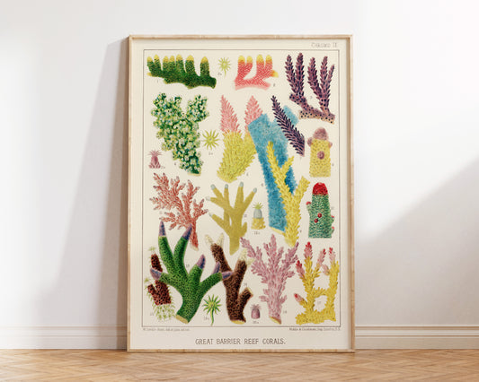 Great Barrier Reef Corals Print, Vintage Marine Life Fine Art Print, Sea Life Poster, Antique Illustration by William Saville-Kent