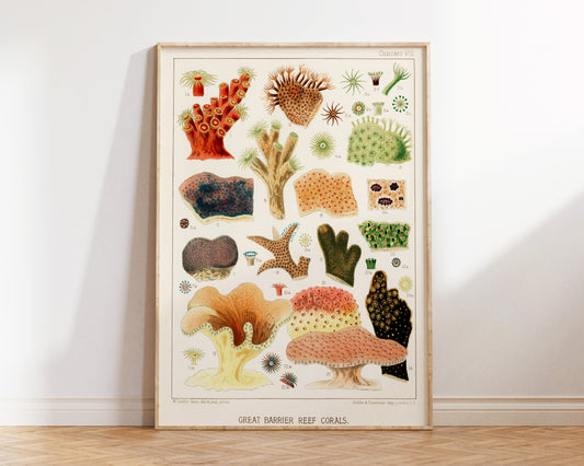 Great Barrier Reef Corals Print, Vintage Marine Life Fine Art Print, Sea Life Poster, Antique Illustration by William Saville-Kent