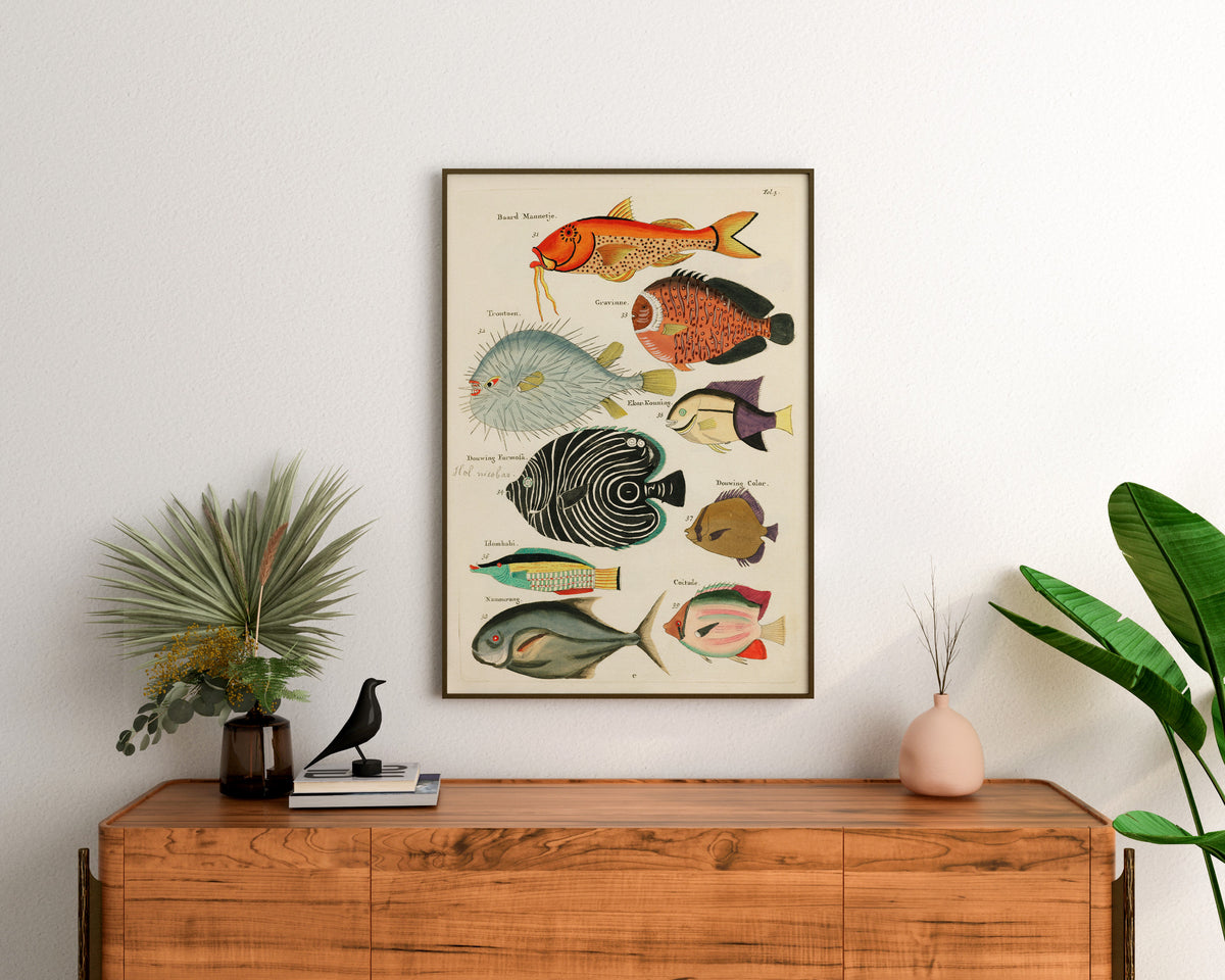 Vintage Fish Print by Louis Renard, Marine Life Illustration Poster, Sea Life Fine Art Print, Antique Surreal Wall Art, Sea Lover Gift