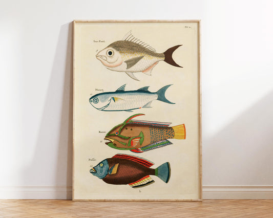 Sea Life Fine Art Print, Marine Life Poster, Vintage Fish Illustrations Print by Louis Renard, Antique Surreal Wall Art, Sea Lover Gift