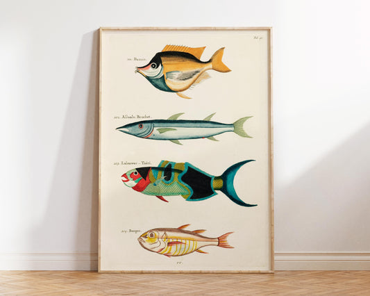 Sea Life Fine Art Print, Marine Life Poster, Vintage Fish Illustrations Print by Louis Renard, Antique Surreal Wall Art, Sea Lover Gift