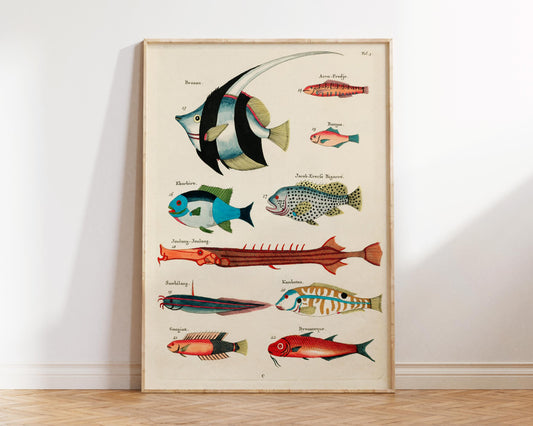 Sea Life Fine Art Print, Marine Life Poster, Vintage Fish Illustrations Print by Louis Renard, Antique Surreal Wall Art, Sea Lover Gift