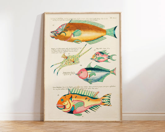 Sea Life Fine Art Print, Marine Life Poster, Vintage Fish Illustrations Print by Louis Renard, Antique Surreal Wall Art, Sea Lover Gift