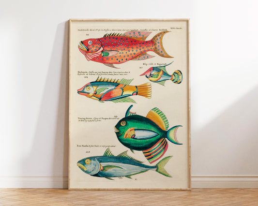 Sea Life Fine Art Print, Marine Life Poster, Vintage Fish Illustrations Print by Louis Renard, Antique Surreal Wall Art, Sea Lover Gift