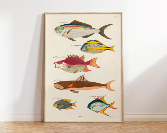 Sea Life Fine Art Print, Marine Life Poster, Vintage Fish Illustrations Print by Louis Renard, Antique Surreal Wall Art, Sea Lover Gift