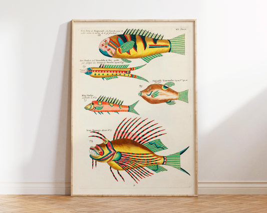 Sea Life Fine Art Print, Marine Life Poster, Vintage Fish Illustrations Print by Louis Renard, Antique Surreal Wall Art, Sea Lover Gift