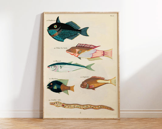 Sea Life Fine Art Print, Marine Life Poster, Vintage Fish Illustrations Print by Louis Renard, Antique Surreal Wall Art, Sea Lover Gift
