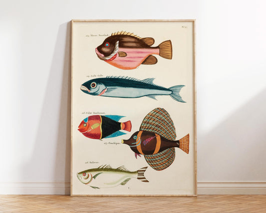 Sea Life Fine Art Print, Marine Life Poster, Vintage Fish Illustrations Print by Louis Renard, Antique Surreal Wall Art, Sea Lover Gift