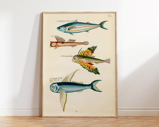 Sea Life Fine Art Print, Marine Life Poster, Vintage Fish Illustrations Print by Louis Renard, Antique Surreal Wall Art, Sea Lover Gift