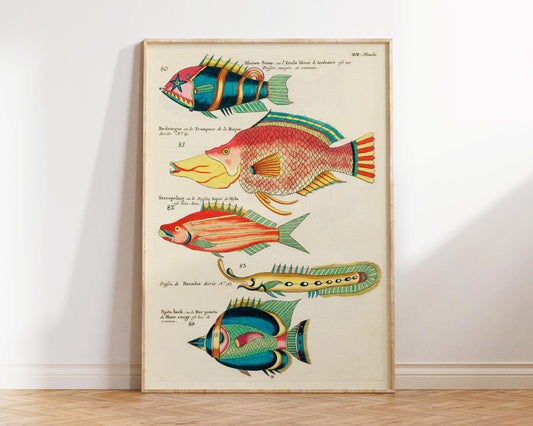 Sea Life Fine Art Print, Marine Life Poster, Vintage Fish Illustrations Print by Louis Renard, Antique Surreal Wall Art, Sea Lover Gift