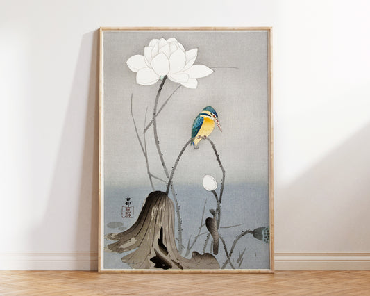 Vintage Japanese Print, Kingfisher with Lotus Flower by Ohara Koson, Antique Asian Wall Art, Japan Painting Poster, Art Lover Gift