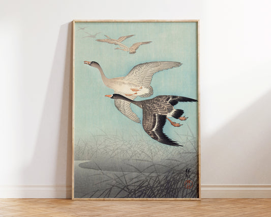 Great Geese in Flight by Ohara Koson, Vintage Japanese Print, Antique Asian Wall Art, Japan Painting Poster, Art Lover Gift