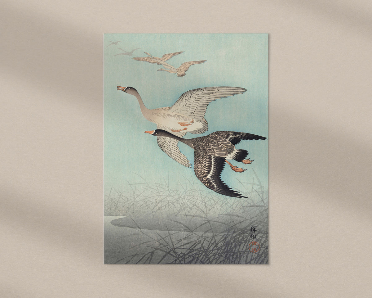Great Geese in Flight by Ohara Koson, Vintage Japanese Print, Antique Asian Wall Art, Japan Painting Poster, Art Lover Gift