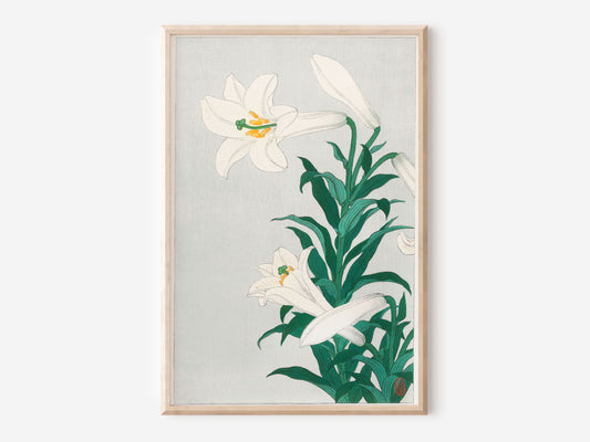 Lilies by Ohara Koson, Vintage Japanese Flower Art Print, Vintage Fine Art Wall Hanging, Antique Asian Poster, Art Lover Gift, 1900s