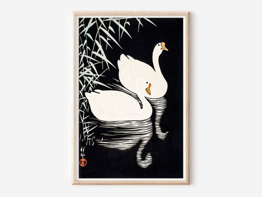 Vintage Geese Print by Ohara Koson, White Chinese Geese Swimming by Reeds, Vintage Fine Art Wall Hanging, Antique Japan Poster