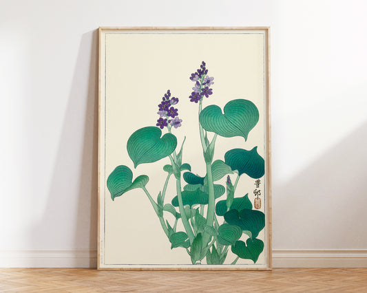 Vintage Botanical Japanese Print, Blooming Hosta by Ohara Koson, Antique Japanese Art Poster, 1900s, Asian Style Wall Art, Nursery Wall Art