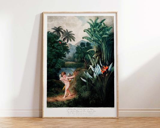 Tropical Jungle Illustration in Emerald Green by Robert John Thornton, Cupid Inspiring Plants with Love from The Temple of Flora (1807)